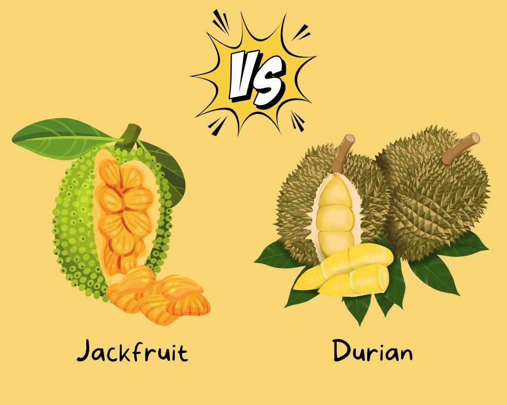 Jackfruit vs. durian: V čem se liší a proč si je lidé často pletou? cover